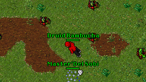 Druid Bambucha on screen