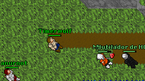 Timerwolf on screen