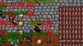 Rinexus on screen