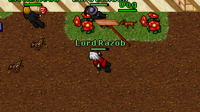Lord Razob on screen