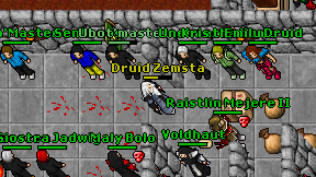 Druid Zemsta on screen