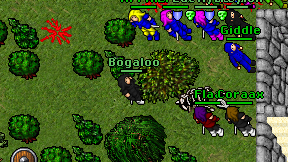 Bogaloo on screen
