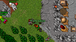 Cykadus on screen