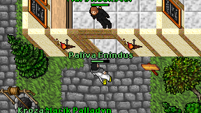 Paliva Enindus on screen
