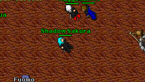 Shadow Sakura on screen