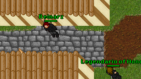 Reinarz on screen