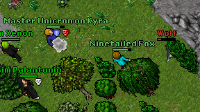 Ninetailed Fox on screen