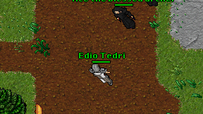 Edio Tedri on screen