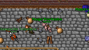 Mage'Porkinho on screen