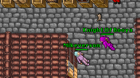 Knight Of Booya on screen