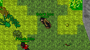 Dark Iou on screen