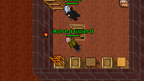 Aurea Guard on screen