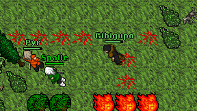 Gibigupo on screen