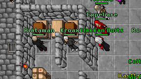 Kroaxi on screen
