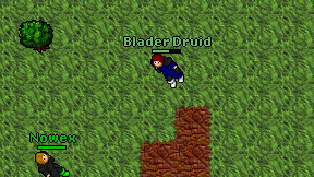 Blader Druid on screen