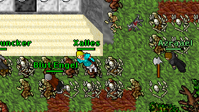 Xalles on screen