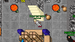Harerevo on screen