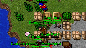 Goose-Master on screen