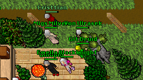 Git Druid on screen