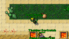 Lear Minda on screen