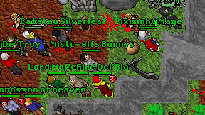 Mistc-elfs Bunnys on screen