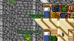 Pan druid on screen