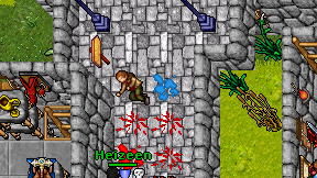 Foxtter Fallassion on screen