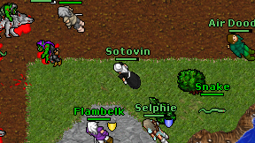 Sotovin on screen