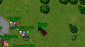 Garg on screen