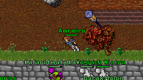 Amrmiro on screen