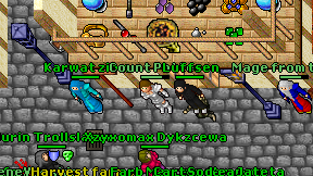 Luffsen on screen