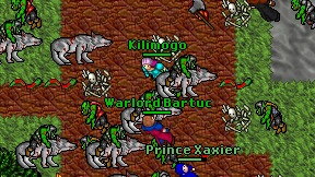 Kilimogo on screen