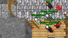 Boxowad on screen