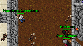 Maximum Cerebrum on screen