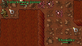 Colio kempa junior on screen