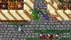 Kaynea on screen