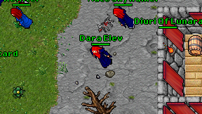 Dara Elev on screen