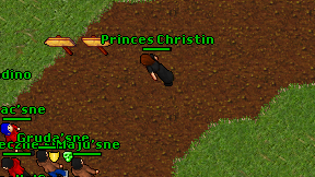 Princes Christin on screen