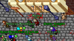 Wadel on screen