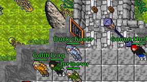 Duck chaser on screen