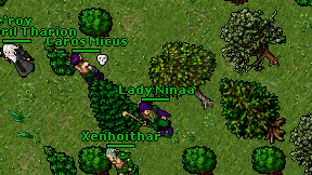 Lady Ninaa on screen