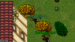 Alexazinho on screen