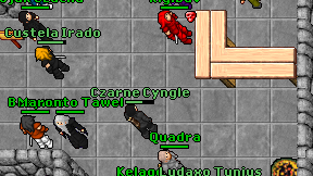 Czarne Cyngle on screen