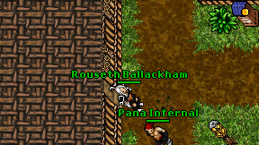 Rouseth Ballackham on screen