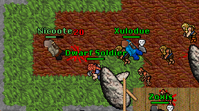 Nicoote on screen
