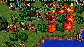Sir polloneitor on screen