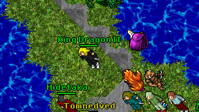 King Dragon II on screen