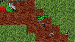 Kosikov on screen
