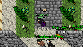 Chaval on screen