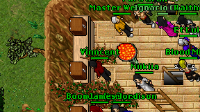 Vinncent on screen